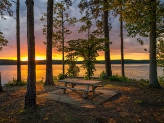 Обои деревья, озеро, берег, лес, закат, стволы, скамейка, trees, lake, shore, forest, sunset, trunks, bench разрешение 2048x1366 Загрузить