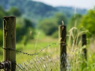 Обои природа, зелень, лето, забор, сетка, колючая проволока, ограда, nature, greens, summer, the fence, mesh, barbed wire, fence разрешение 4832x3201 Загрузить