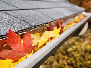 Обои листья, макро, осень, крыша, клен, кленовый лист, leaves, macro, autumn, roof, maple, maple leaf разрешение 3840x2400 Загрузить