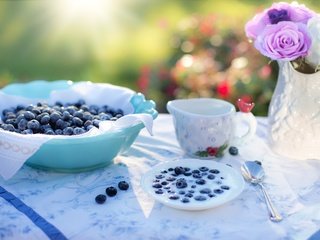 Обои ягоды, черника, посуда, молоко, berries, blueberries, dishes, milk разрешение 5248x3499 Загрузить