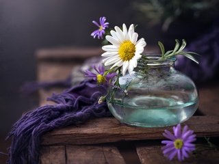 Обои цветы, фон, банка, flowers, background, bank разрешение 3840x2783 Загрузить