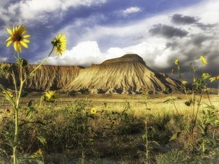 Обои цветы, природа, пейзаж, гора, красота, подсолнухи, flowers, nature, landscape, mountain, beauty, sunflowers разрешение 2048x1326 Загрузить