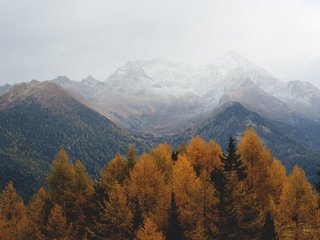 Обои небо, пасмурно, деревья, горы, скалы, природа, лес, осень, дымка, the sky, overcast, trees, mountains, rocks, nature, forest, autumn, haze разрешение 5496x3670 Загрузить