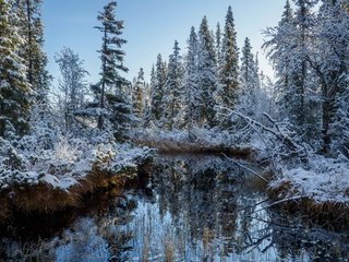 Обои река, снег, лес, осень, river, snow, forest, autumn разрешение 3840x2160 Загрузить