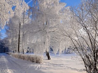 Обои дорога, деревья, снег, природа, зима, ветки, иней, колея, road, trees, snow, nature, winter, branches, frost, track разрешение 3840x2160 Загрузить