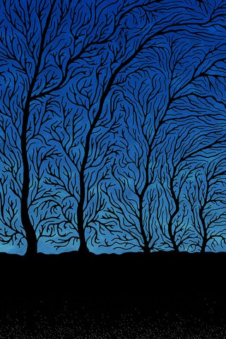 Обои деревья, синий, ветки, человек, черный, trees, blue, branches, people, black разрешение 2560x1600 Загрузить