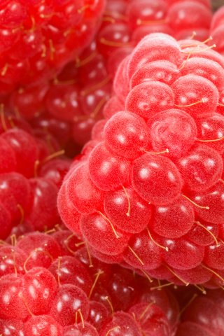 Обои макро, малина, качество, ягоды, macro, raspberry, quality, berries разрешение 7404x4828 Загрузить