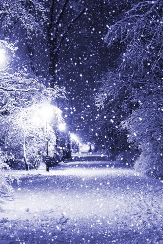 Обои ночь, деревья, фонари, снег, зима, парк, night, trees, lights, snow, winter, park разрешение 4820x3421 Загрузить