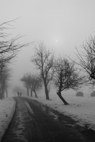 Обои дорога, деревья, зима, чёрно-белое, road, trees, winter, black and white разрешение 2560x1600 Загрузить