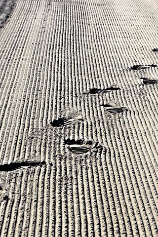 Обои песок, следы, пограничная полоса, sand, traces, frontier разрешение 2560x1600 Загрузить