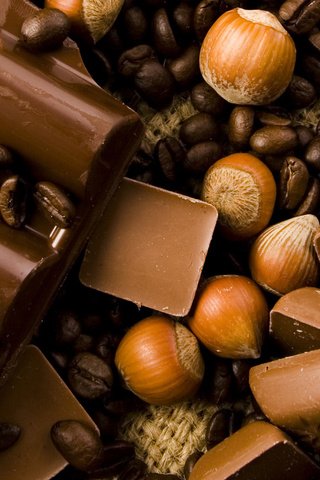 Обои орехи, конфеты, шоколад, фундук, nuts, candy, chocolate, hazelnuts разрешение 1920x1200 Загрузить