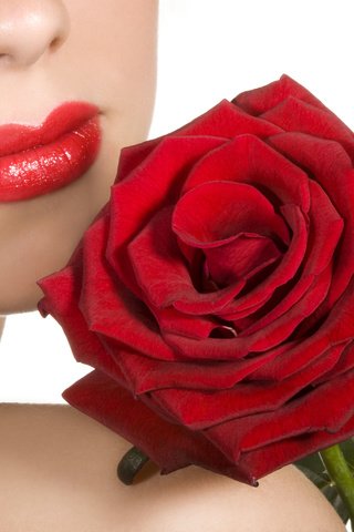 Обои девушка, роза, красная, губы, плечо, помада, girl, rose, red, lips, shoulder, lipstick разрешение 2560x1600 Загрузить
