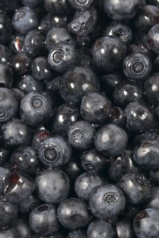 Обои черная, черника, сладкая, black, blueberries, sweet разрешение 2560x1600 Загрузить