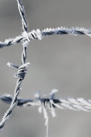 Обои мороз, проволока, иней, колючая проволока, колючая, зона(, frost, wire, barbed wire, barbed, area( разрешение 1920x1200 Загрузить