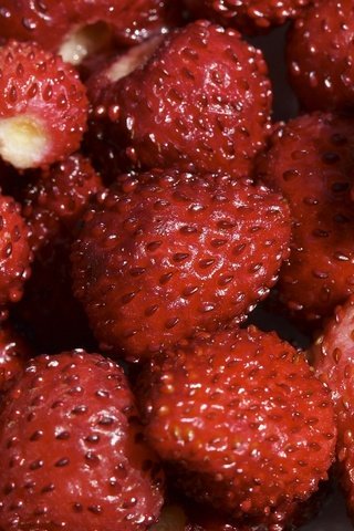 Обои клубника, красный, ягоды, земляника, strawberry, red, berries, strawberries разрешение 1920x1200 Загрузить