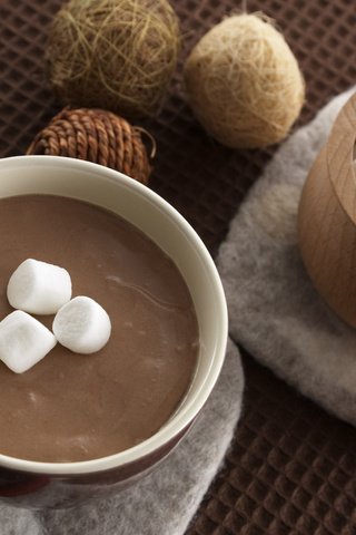 Обои чашка, зефир, ложка, горячий шоколад, маршмеллоу, cup, marshmallows, spoon, hot chocolate разрешение 1920x1200 Загрузить