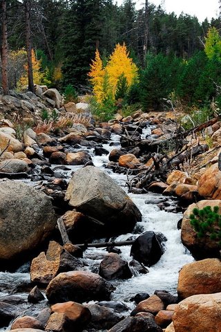 Обои небо, поток, деревья, вода, горы, природа, камни, пейзаж, ручей, the sky, trees, water, mountains, nature, stones, landscape, stream разрешение 1920x1080 Загрузить