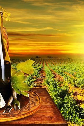 Обои солнце, маслины, виноград, вино белое, сыр, дор блю, вино, бутылка, бокалы, виноградная лоза, виноградник, the sun, olives, grapes, white wine, cheese, dor blue, wine, bottle, glasses, vine, vineyard разрешение 1920x1200 Загрузить