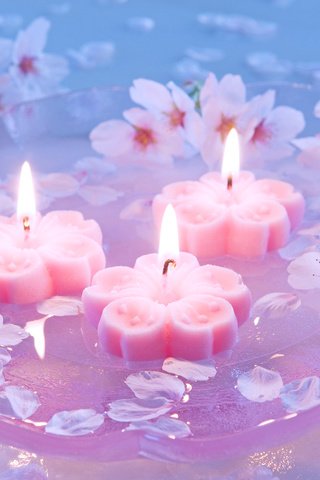 Обои свечи, сакура, японская вишня, candles, sakura, japanese cherry разрешение 1920x1200 Загрузить