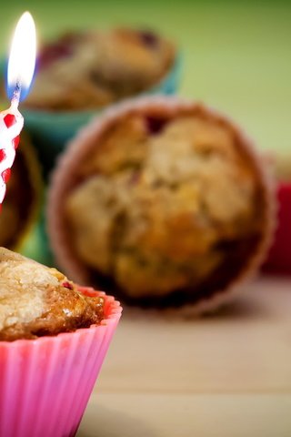 Обои свеча, день рождения, выпечка, кекс, кексы, candle, birthday, cakes, cupcake, cupcakes разрешение 2560x1600 Загрузить