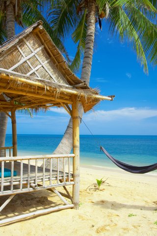 Обои пляж, пальмы, океан, отдых, beach, palm trees, the ocean, stay разрешение 3200x2127 Загрузить