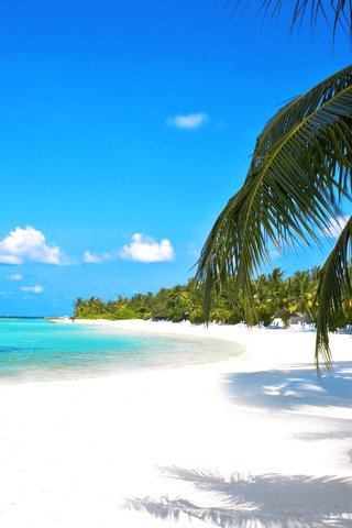 Обои море, пляж, тропики, мальдивы, sea, beach, tropics, the maldives разрешение 2100x1254 Загрузить
