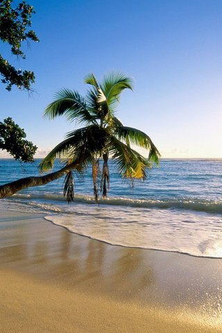 Обои закат, море, пляж, отдых, тропики, chudo, sunset, sea, beach, stay, tropics разрешение 2560x1920 Загрузить