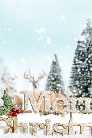 Обои снег, орнаменты, декорация, встреча нового года, presents, счастливого рождества, новогодняя елка, белоцветник, snow, ornaments, decoration, new year, merry christmas, christmas tree, snowflake разрешение 2560x1600 Загрузить