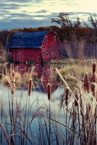 Обои деревья, озеро, осень, дом, камыш, trees, lake, autumn, house, reed разрешение 1920x1200 Загрузить