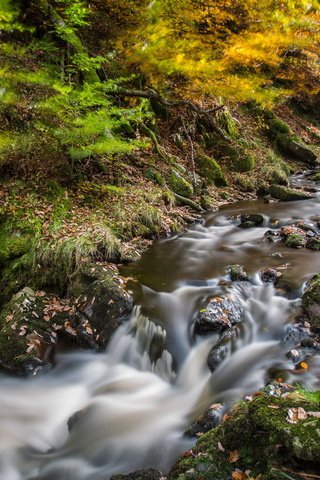 Обои река, природа, камни, поток, мох, river, nature, stones, stream, moss разрешение 1920x1200 Загрузить