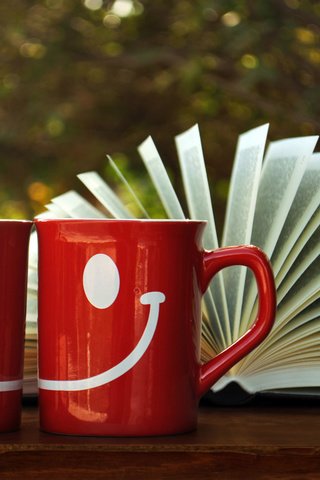 Обои рисунок, улыбка, красные, книга, чашки, страницы, figure, smile, red, book, cup, page разрешение 2560x1600 Загрузить