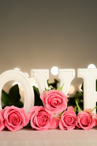 Обои цветы, розы, лепестки, любовь, день святого валентина, flowers, roses, petals, love, valentine's day разрешение 2880x1922 Загрузить