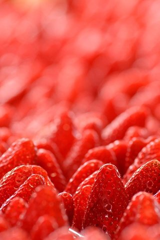 Обои макро, клубника, ягоды, лесные ягоды, земляника, macro, strawberry, berries, strawberries разрешение 2048x1365 Загрузить