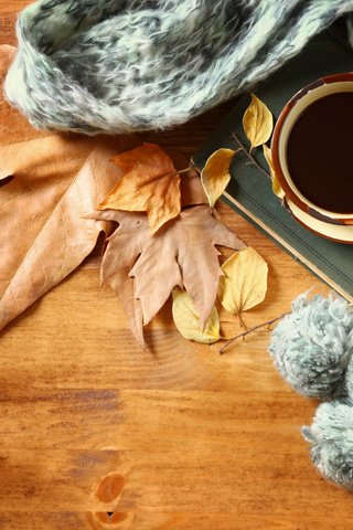 Обои листья, осень, кофе, чашка, шарф, leaves, autumn, coffee, cup, scarf разрешение 4644x3096 Загрузить