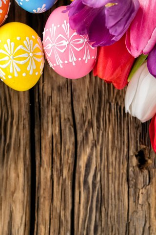 Обои тюльпаны, зеленые пасхальные, довольная, пасха, красочная, яйца, праздник, дерева, тульпаны,  цветы, глазунья, весенние, tulips, happy, easter, colorful, eggs, holiday, wood, flowers, spring разрешение 6480x4320 Загрузить