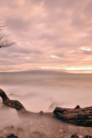 Обои вечер, дерево, закат, море, туман, горизонт, the evening, tree, sunset, sea, fog, horizon разрешение 2048x1152 Загрузить