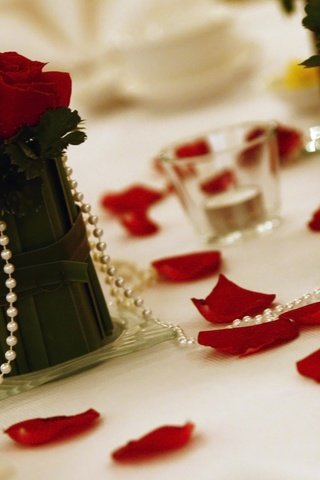 Обои украшения, розы, бусы, жемчуг, декор, decoration, roses, beads, pearl, decor разрешение 1920x1080 Загрузить