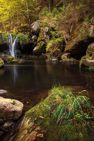 Обои деревья, камни, лес, ручей, водопад, мох, trees, stones, forest, stream, waterfall, moss разрешение 2880x1920 Загрузить