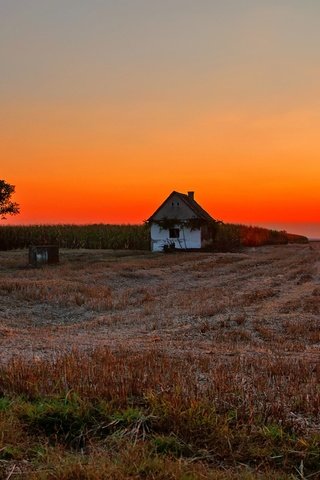 Обои солнце, dusk, fireball, закат, полумрак, countryside, поле, farmland, дом, сумерки, ферма, вс, сельская местность, the sun, sunset, field, house, twilight, farm, sun, the countryside разрешение 1920x1276 Загрузить