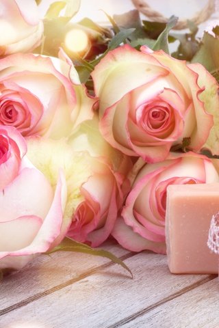 Обои цветы, бутоны, розы, романтик,  цветы, роз, влюбленная, пинк, сердечка, flowers, buds, roses, romantic, love, pink, heart разрешение 4272x2848 Загрузить