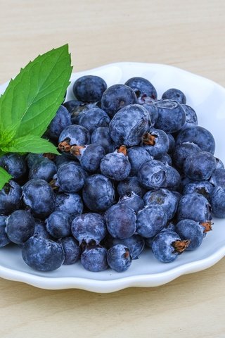 Обои ягоды, лесные ягоды, черника, голубика, парное, черничный, berries, blueberries, fresh, blueberry разрешение 5096x3468 Загрузить