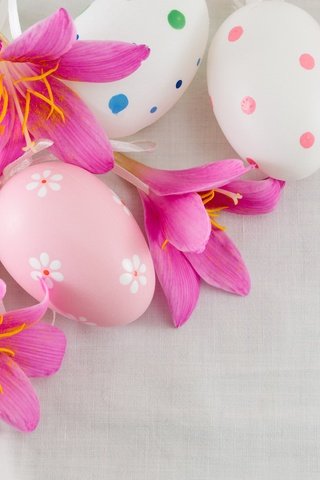 Обои цветы, весна, пасха, яйца, яйца крашеные, flowers, spring, easter, eggs, the painted eggs разрешение 6016x4000 Загрузить