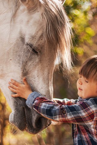 Обои лошадь, природа, ребенок, мальчик, животное, конь, agnieszka gulczynska, horse, nature, child, boy, animal разрешение 4761x3330 Загрузить