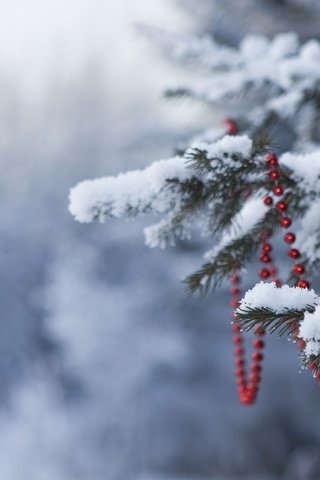 Обои снег, новый год, елка, лес, зима, шар, бусы, snow, new year, tree, forest, winter, ball, beads разрешение 1920x1080 Загрузить