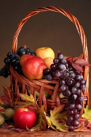 Обои листья, виноград, фрукты, яблоки, натюрморт, груши, груши., leaves, grapes, fruit, apples, still life, pear, pear. разрешение 2560x2439 Загрузить