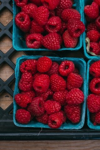 Обои малина, ягоды, много, урожай, контейнеры, ящик, коробочки, raspberry, berries, a lot, harvest, containers, box, boxes разрешение 3072x1728 Загрузить