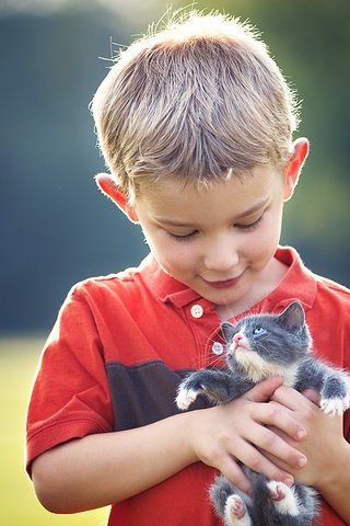 Обои котенок, дети, ребенок, мальчик, друзья, kitty, children, child, boy, friends разрешение 2048x1365 Загрузить