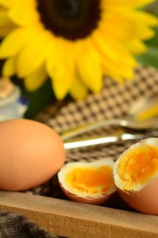 Обои цветок, подсолнух, яйца, желток, flower, sunflower, eggs, the yolk разрешение 4928x3264 Загрузить