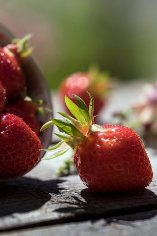 Обои клубника, тень, ягоды, деревянная поверхность, strawberry, shadow, berries, wooden surface разрешение 2048x1332 Загрузить