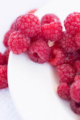 Обои макро, малина, ягоды, тарелка, macro, raspberry, berries, plate разрешение 5760x3840 Загрузить